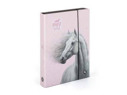 Box na sešity A4 Jumbo Kůň Romantic Horse Girl