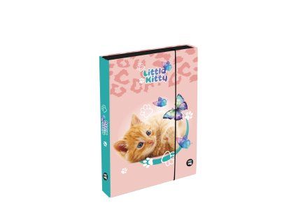 Box na sešity A5 Jumbo Kočka Little Kitty