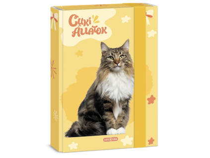 Box na sešity A5 Ars Una Cute Animals – Norská lesní kočka