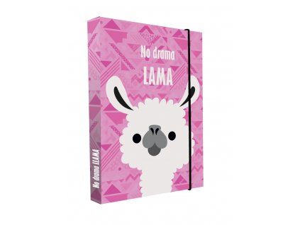 Box na sešity A4 Jumbo Lama