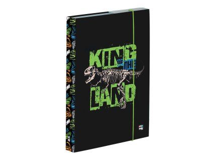 Box na sešity A4 Premium Dinosaurus 2023 – pevný lamino box s gumičkou
