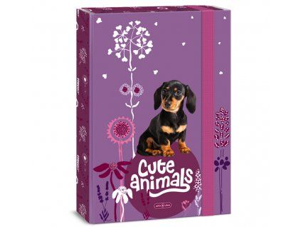 Ars Una Box na sešity A4 – Cute Animals – štěně