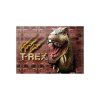 obal pp s patentem a5 t rex