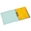 Pořadač A4 mint Easy Orga (Herlitz) – dvoukroužkový transparentní PP, 4 cm