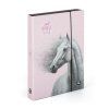 Box na sešity A4 Jumbo Kůň Romantic Horse Girl
