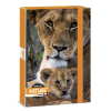 Box na sešity A4 Ars Una Spirit of Nature Lvi