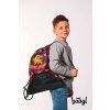 sacek harry potter nebelvir 811012 40