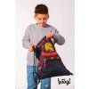 skolni set zippy harry potter nebelvir 791345 40